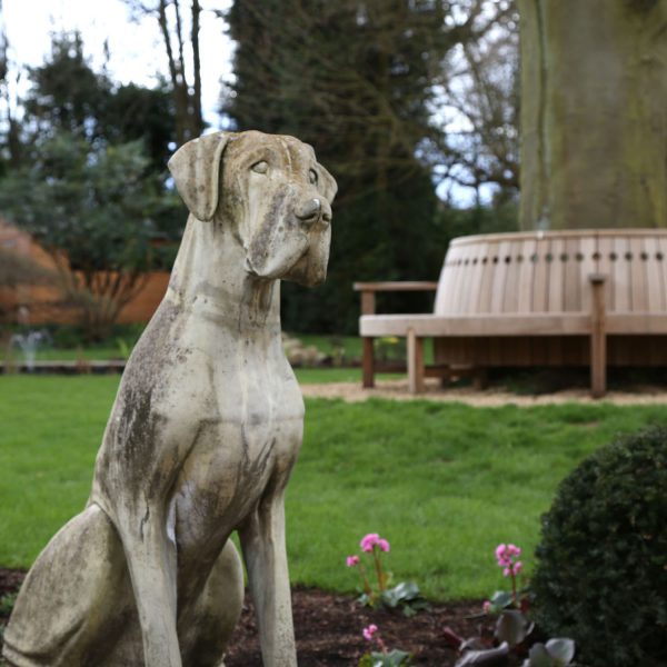 Large Garden in Harpenden - dog statue