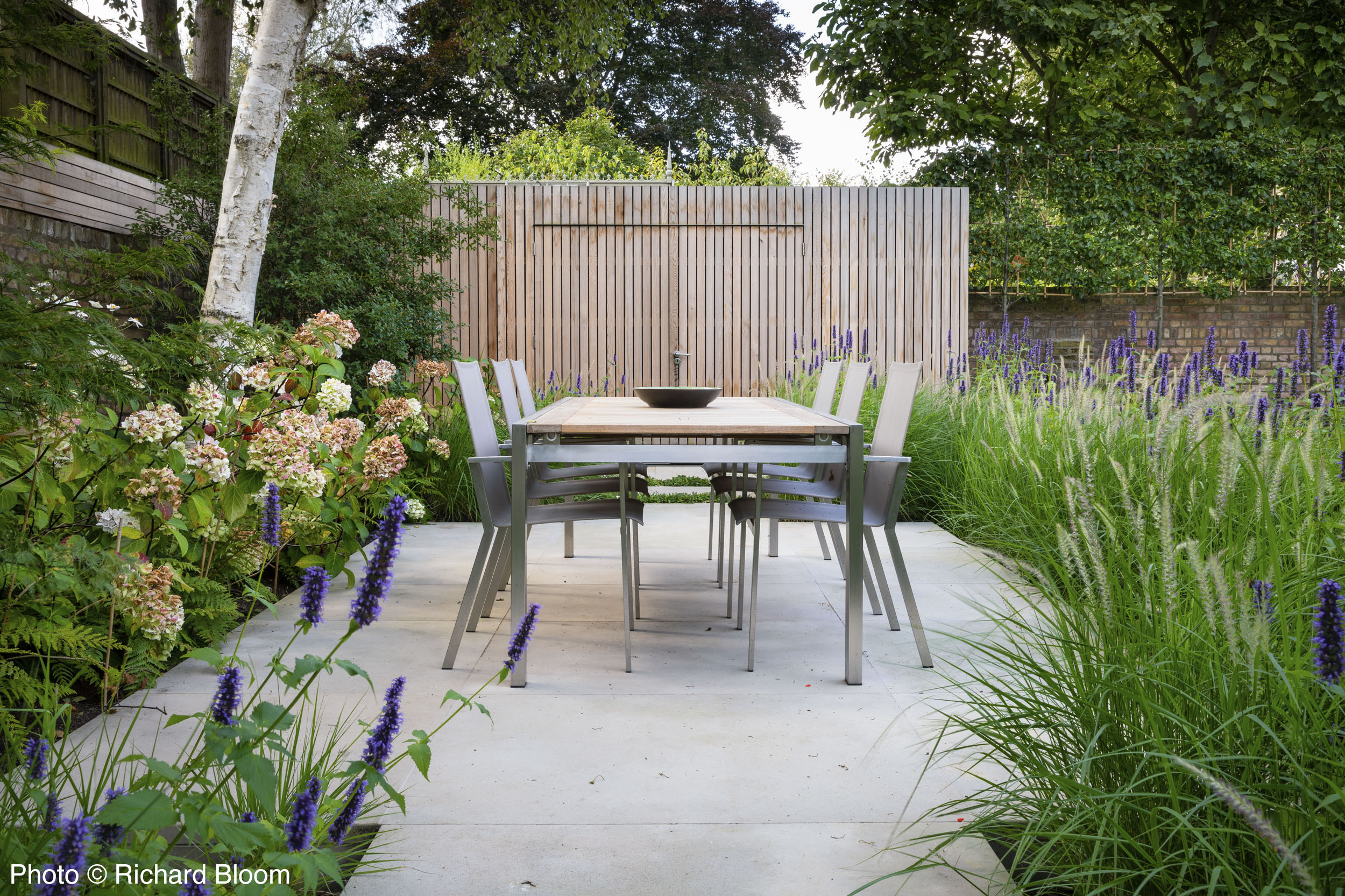Modern Garden, Hampstead - Rosemary Coldstream Garden Design
