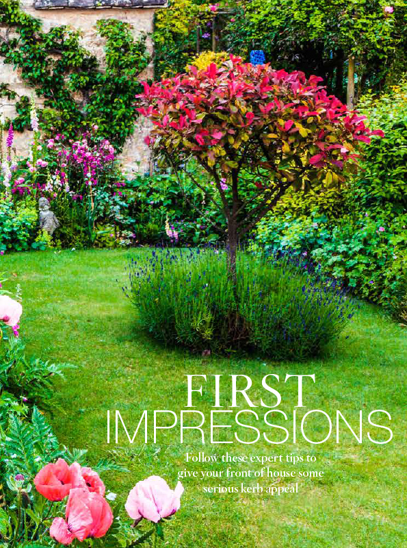 First Impression front cover