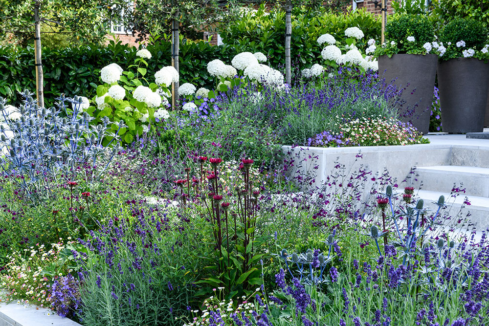 The Terraced Garden - Rosemary Coldstream Garden Design