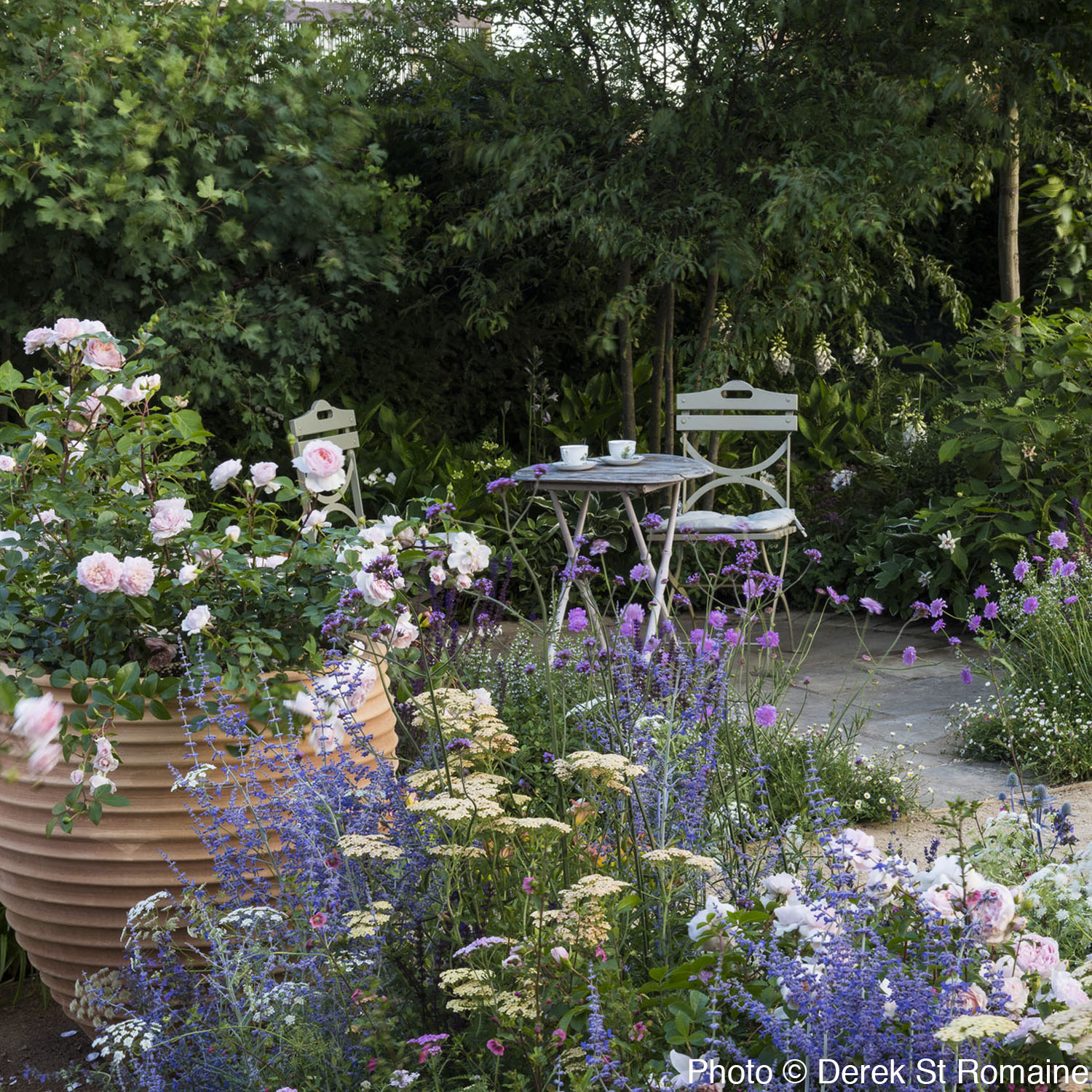 RHS Hampton Court Flower Show | Rosemary Coldstream Garden Design on Rhs Garden Design
 id=93920