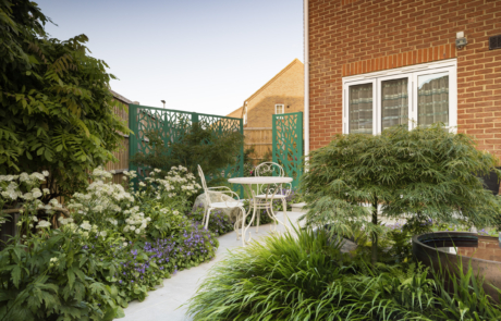 Winding path through garden