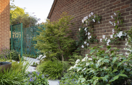 Lush planting in courtyard garden