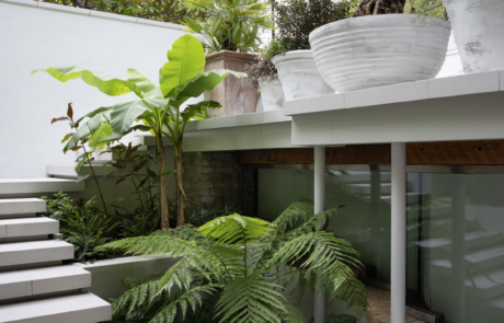 Split level city courtyard garden with porcelain paving and steps. Tropical and Mediterranean in whitewashed terracotta planters.